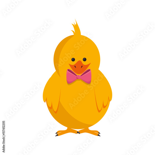 Little chicken cartoon icon vector illustration graphic design photo