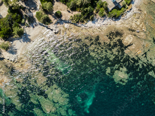 Aerial view of coast and sea floor in Corsica