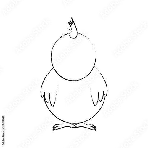 Little chicken cartoon icon vector illustration graphic design photo