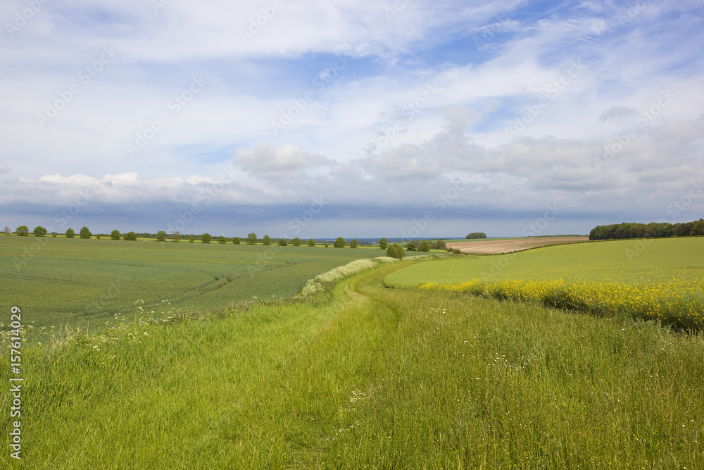 yorkshire wolds agriculture