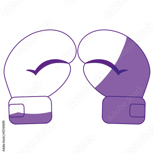 Boxing gloves accesory icon vector illustration graphic design