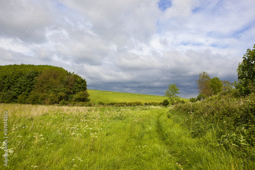woodland and meadows woodland and meadows