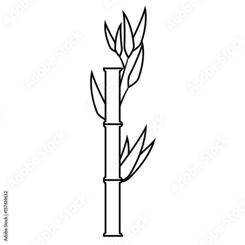 Bamboo japanese plant icon vector illustration graphic design