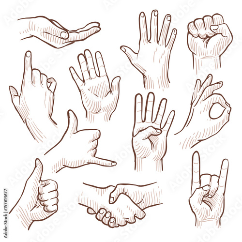 Line drawing doodle hands showing common signs vector collection