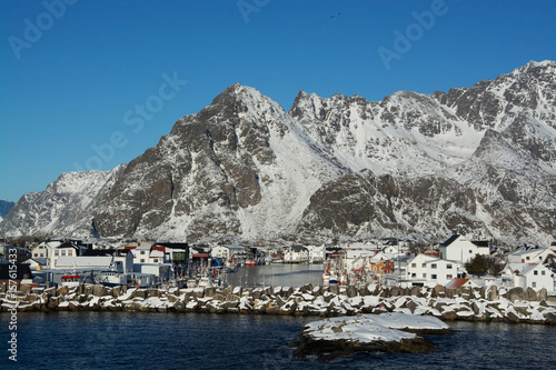 henningsvaer, Norwegen photo