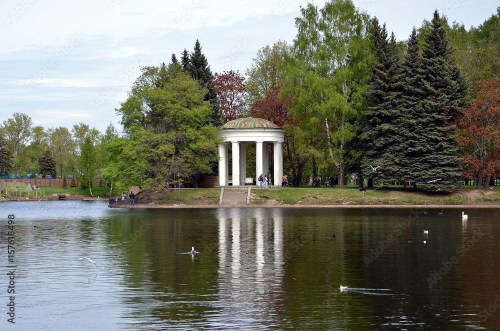 Gazebo Rotunda on the shore of Swan Pond. Krestovsky Island, St. Petersburg, Russia Gazebo Rotunda on the shore of Swan Pond. Krestovsky Island, St. Petersburg, Russia