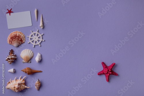 Summer background: composition of beautiful seashells, gift card mock up arranged on left and red sea star of purple. Top view. Flay lay.