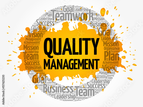 Quality Management word cloud, business concept background