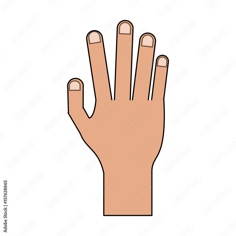 Hand Palm Vector Color
