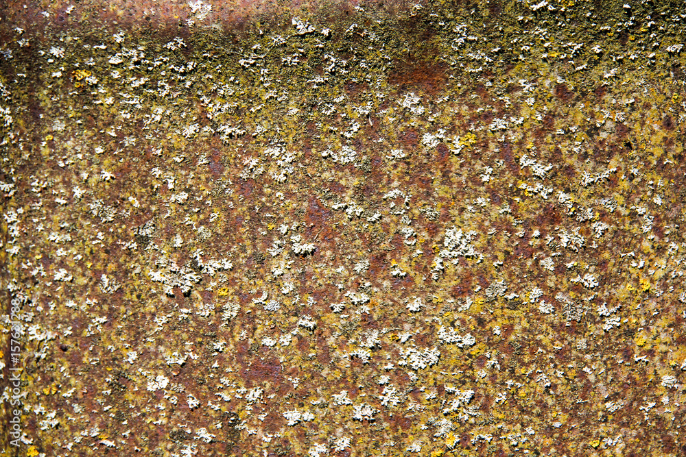 rusted metal iron texture rusted metal iron texture