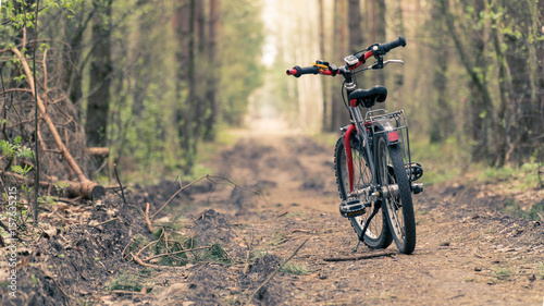 Bicycle on a forest path