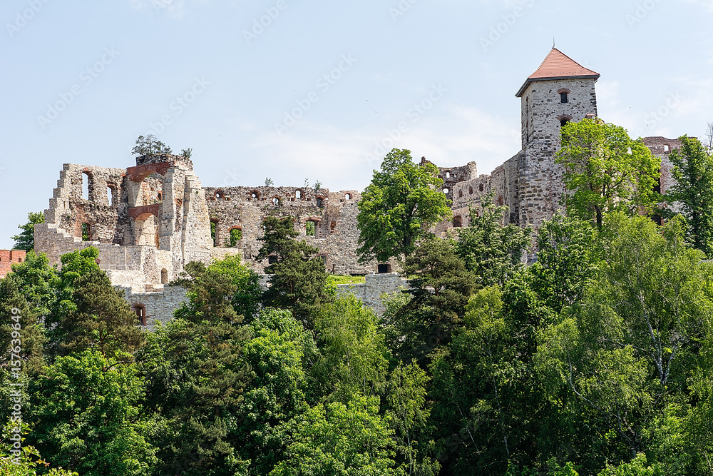 The 14th century Tenczyn Castle, situated in the village of Rudno (Poland), on the Tenczyn Prominence. The Rudno Landscape Park.