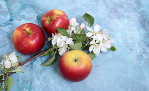 the contrast between the blossoming Apple tree and the ripe apples on a blue marble background