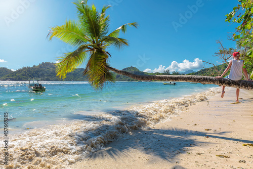 Cute boy sitting on palm at tropical beach at sunset.