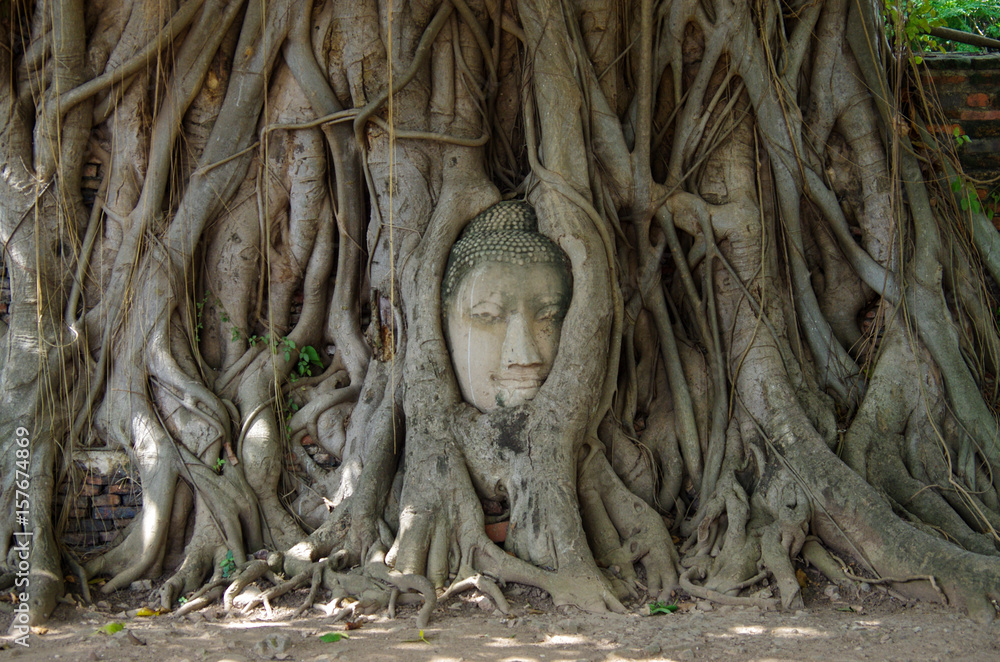 AYUTTHAYA, THAILAND - August, 2016: Head of Buddha statue in the tree roots at Wat Mahathat temple, Ayutthaya, Thailand AYUTTHAYA, THAILAND - August, 2016: Head of Buddha statue in the tree roots at Wat Mahathat temple, Ayutthaya, Thailand