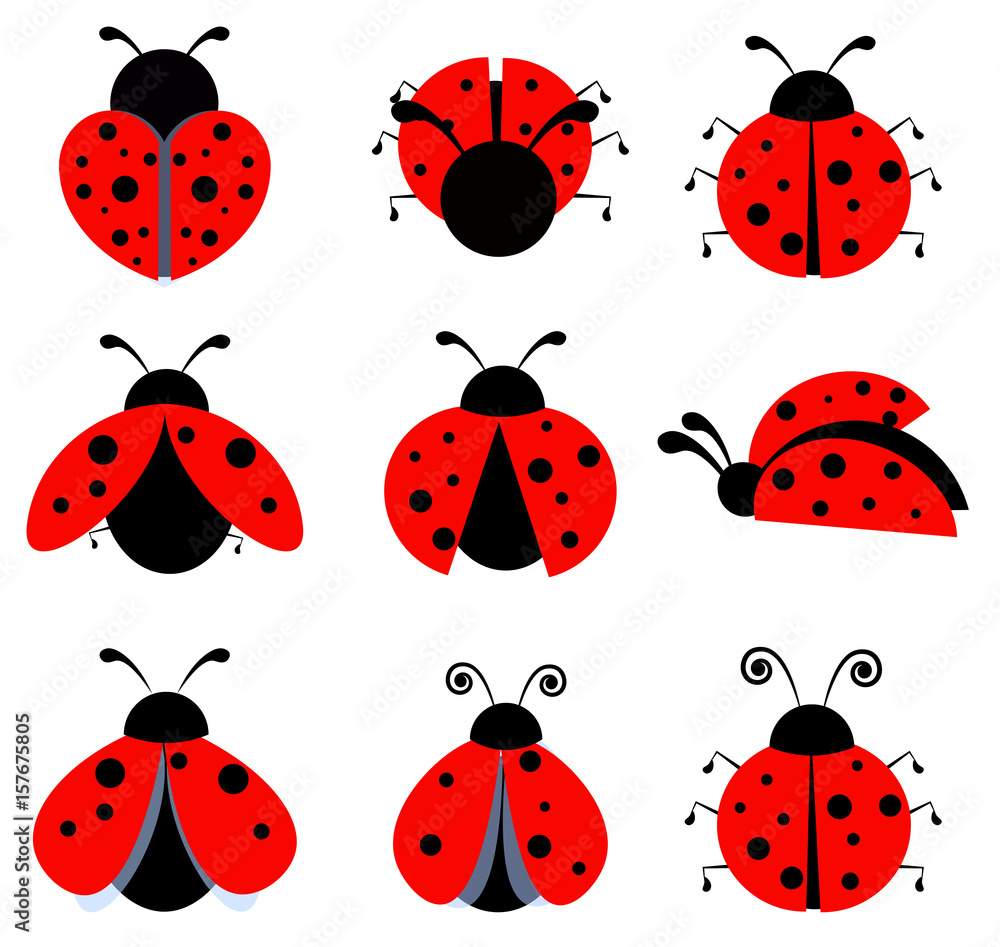 Fototapeta premium ladybugs icon