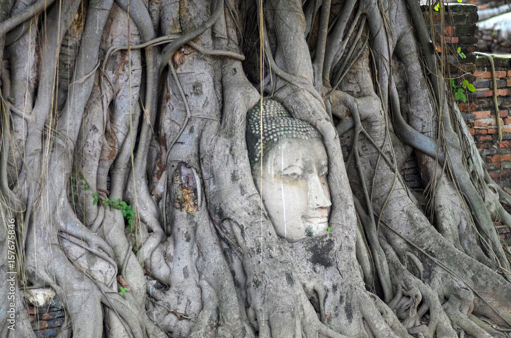 AYUTTHAYA, THAILAND - August, 2016: Head of Buddha statue in the tree roots at Wat Mahathat temple, Ayutthaya, Thailand AYUTTHAYA, THAILAND - August, 2016: Head of Buddha statue in the tree roots at Wat Mahathat temple, Ayutthaya, Thailand