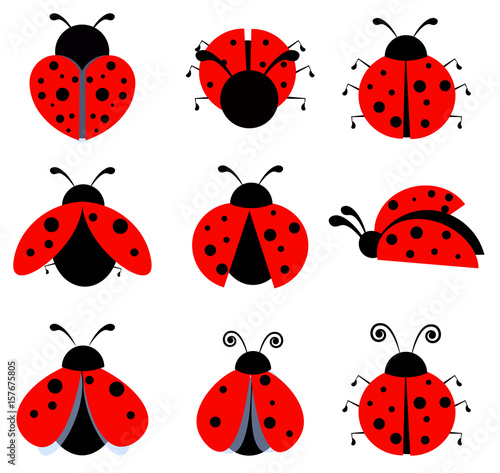 ladybugs icon