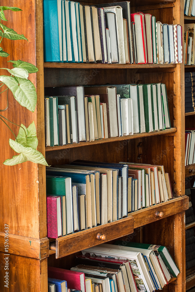 Fototapeta premium Old books on a wooden shelf
