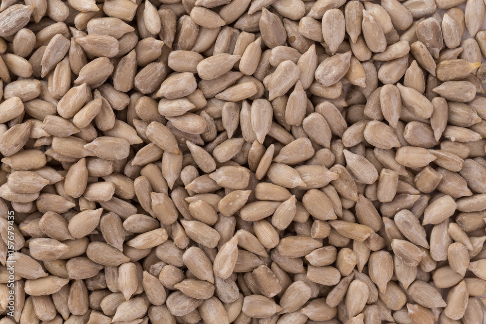 Texture of sunflower seeds Texture of sunflower seeds