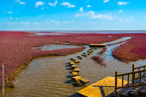 The Red Beach, located in the Liaohe Delta some 30km south west of Panjin City, Liaoning, China. The beach is a marshy area of huge importance to bird life. photo