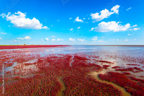 The Red Beach, located in the Liaohe Delta some 30km south west of Panjin, Liaoning, China. The red colour is made by a plant known as suaeda grass.
