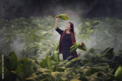 Photography Beautiful Thailand woman working is happy,thailand,thailand woman,Thailand cultu