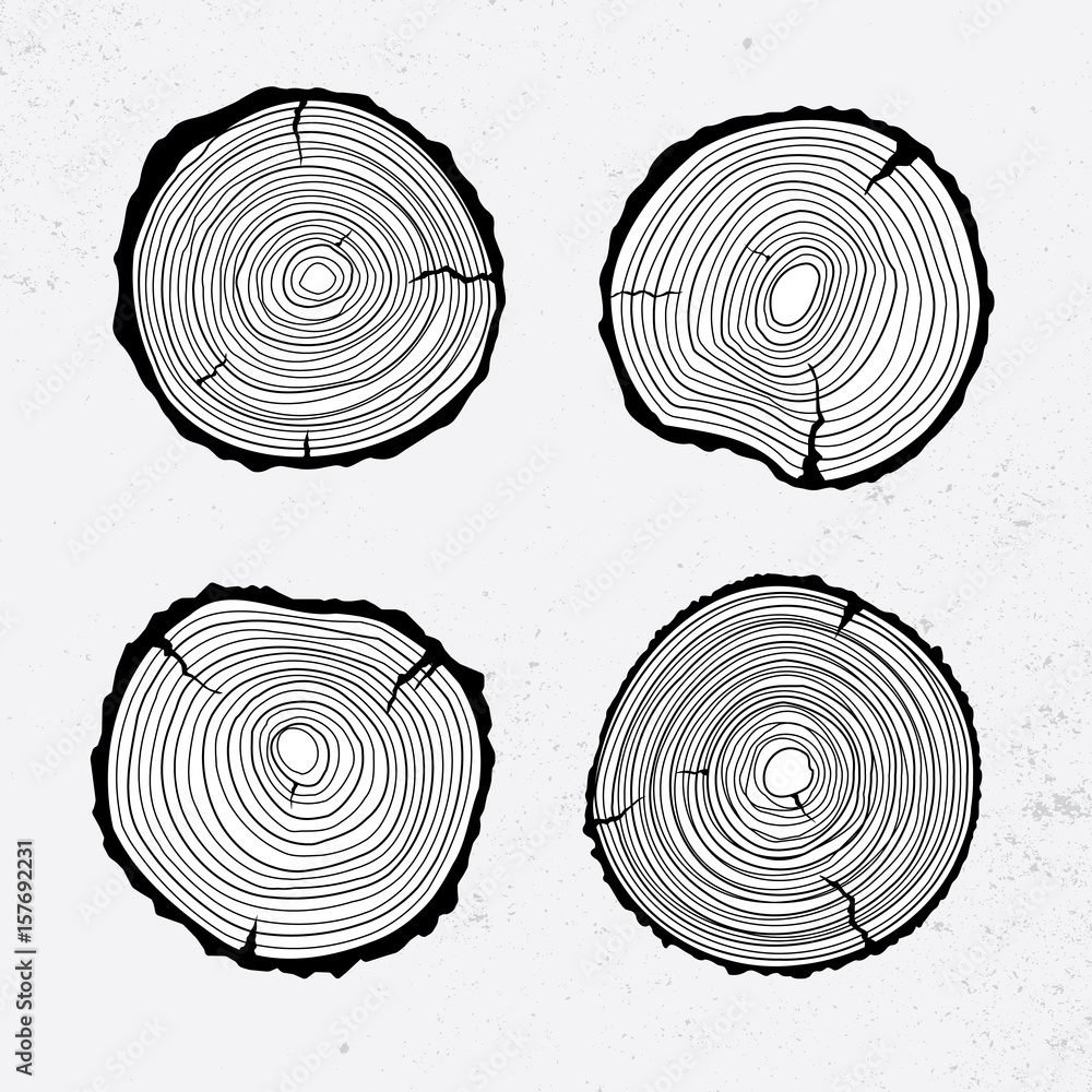 Tree trunk cross section, line design, vector illustration Stock Vector ...