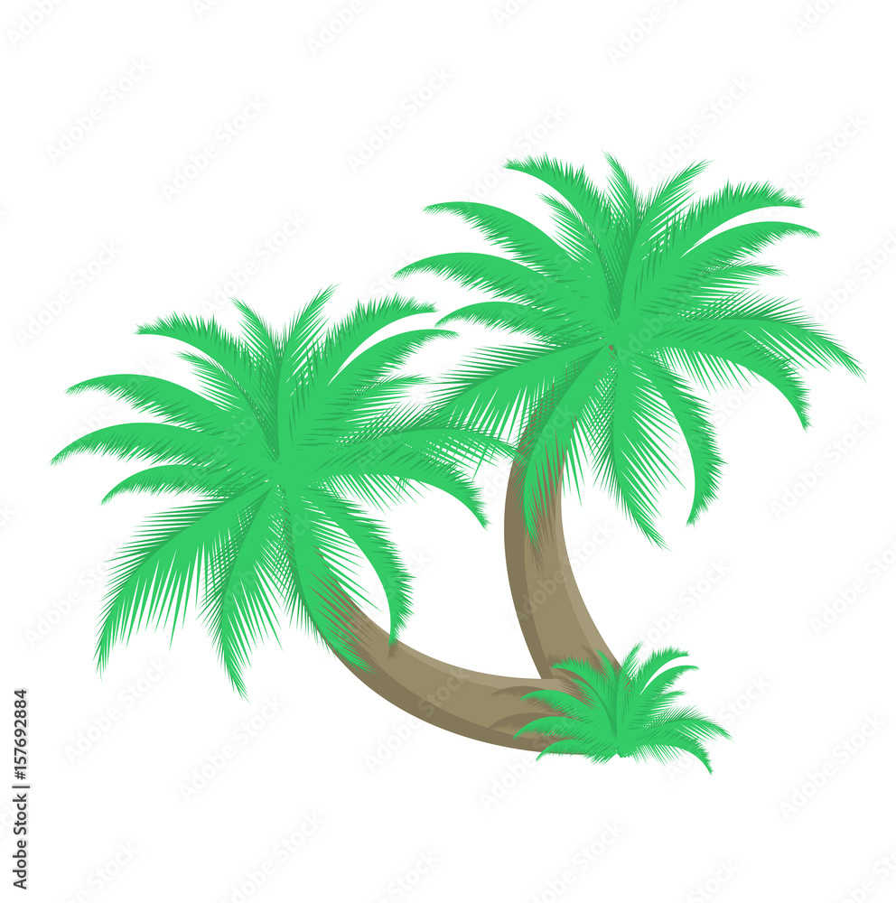 Obraz premium Ilustracja wektorowa dwie palmy
