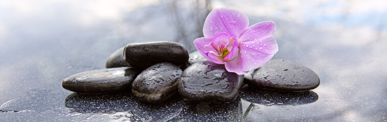 Wandcirkels Toilet Spa stenen met roze orchidee  © Swetlana Wall