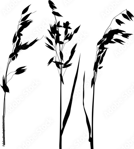three oat ears black silhouettes on white