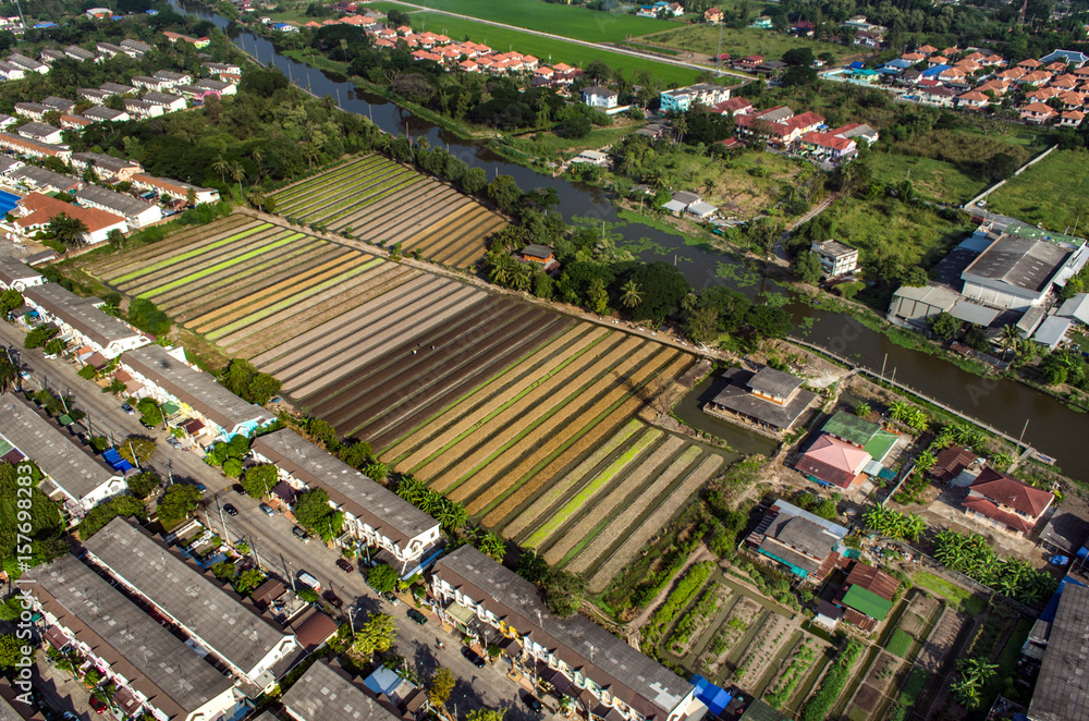 Vegetable Organic Farming, Agriculture Aerial Photography.