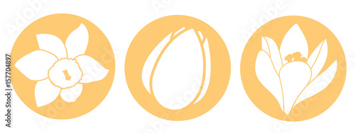Spring flower icon. White narcissus, tulip and crocus flowers. Orange round circle flat icons. Vector illustration