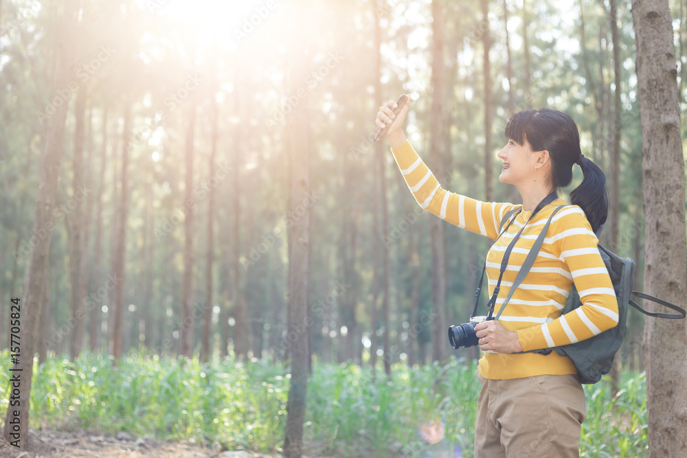 Young Woman in yellow sweater using smartphone for vedio call and selfie between travel in pine forest.