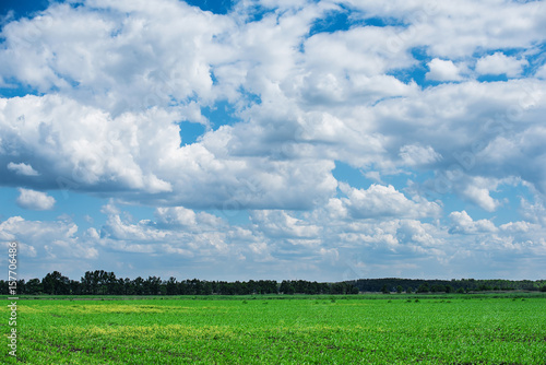 Green field landscape with cloudy sky