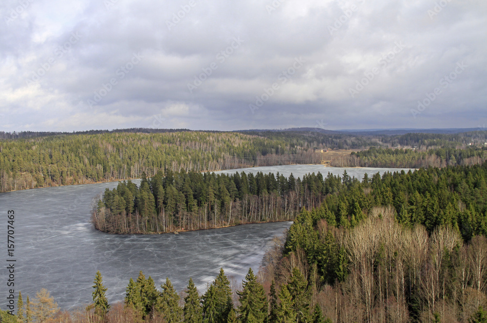 Frozen lake and forest view from the viewpoint Frozen lake and forest view from the viewpoint