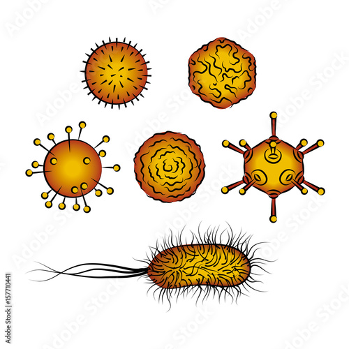 Influenza viruses and E coli Bacteria. Vector illustration