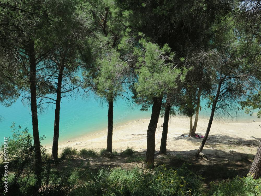 Blue lake through trees