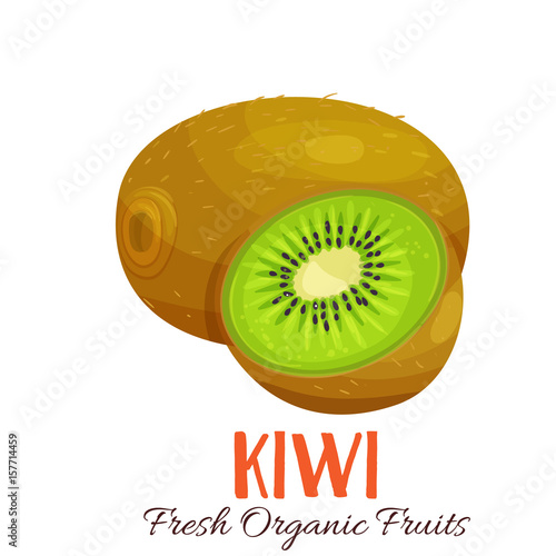 Vector kiwi illustration