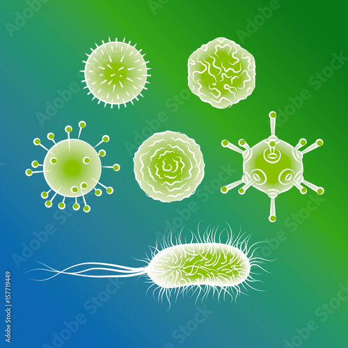 Influenza viruses and E coli Bacteria. Color vector illustration