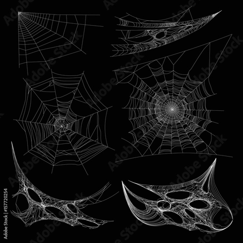 Obraz na plátně Spiderweb or spider web cobweb on wall corner vector isolated icons