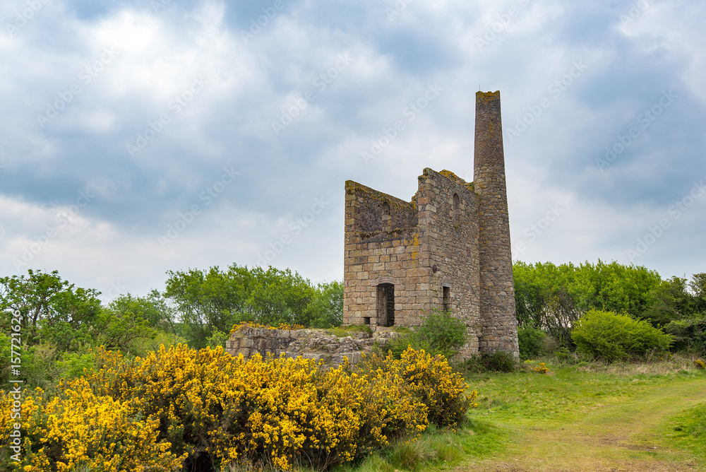 The Pumping Engine House at Fortesue's Shaft, Grenville United Mines near Camborne, Cornwall, UK. This housed a 90inch pumping engine built by Harveys of Hayle.