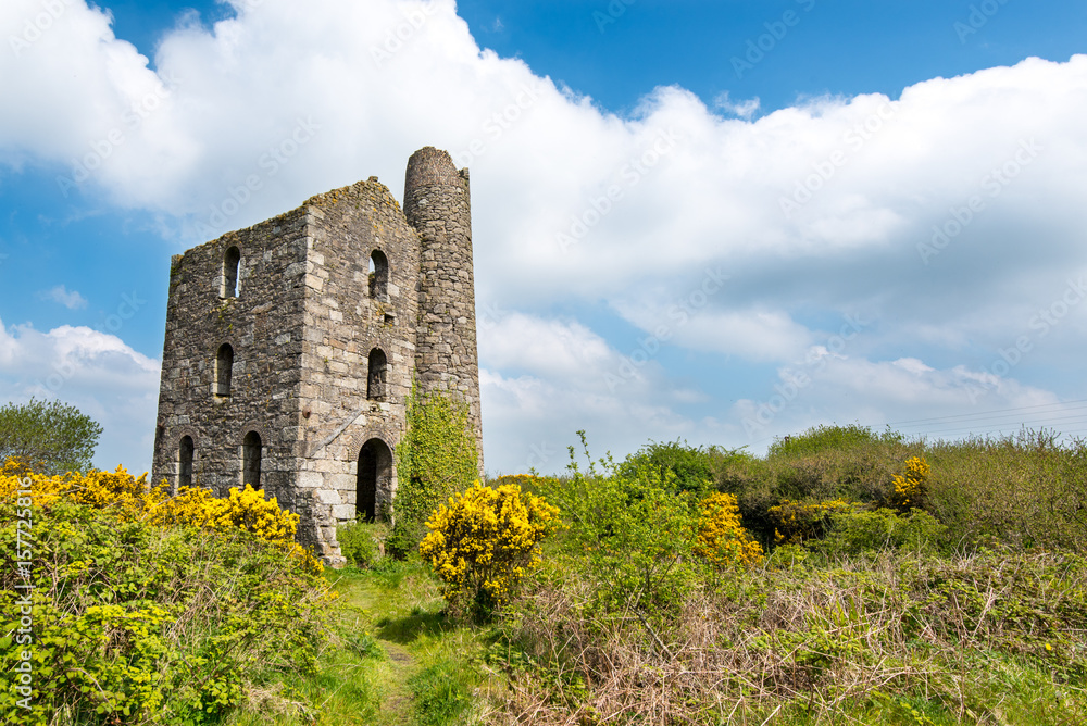 The New Stamps Engine House of Wheal Grenville near Troon, Camborne, Cornwall, UK was built around 1890 and drove 136 heads of Cornish Stamps to break the ore.