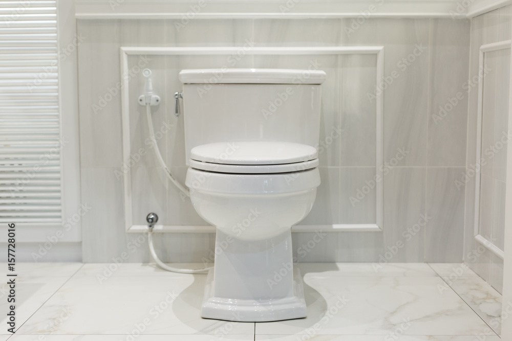 Toilet in Bathroom Toilet in Bathroom
