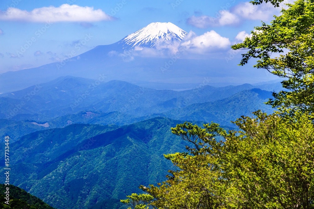 Fototapeta premium 西丹沢から見る富士山