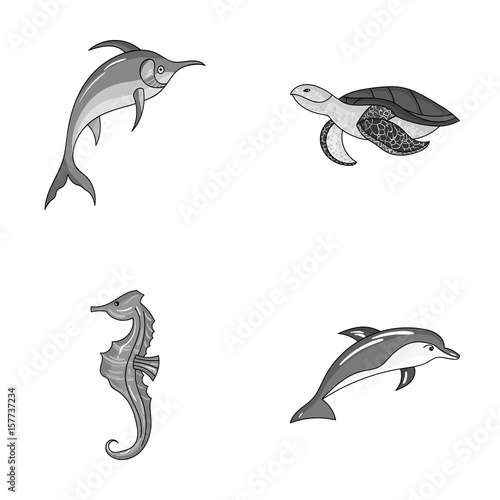Merlin, turtle and other species.Sea animals set collection icons in monochrome style vector symbol stock illustration web.