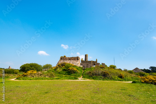 The extensive complex at Marriott s Shaft  South Wheal Frances  near Carnkie  Redruth  Cornwall  UK is sometimes known as the Cathedral of Cornish Mining.