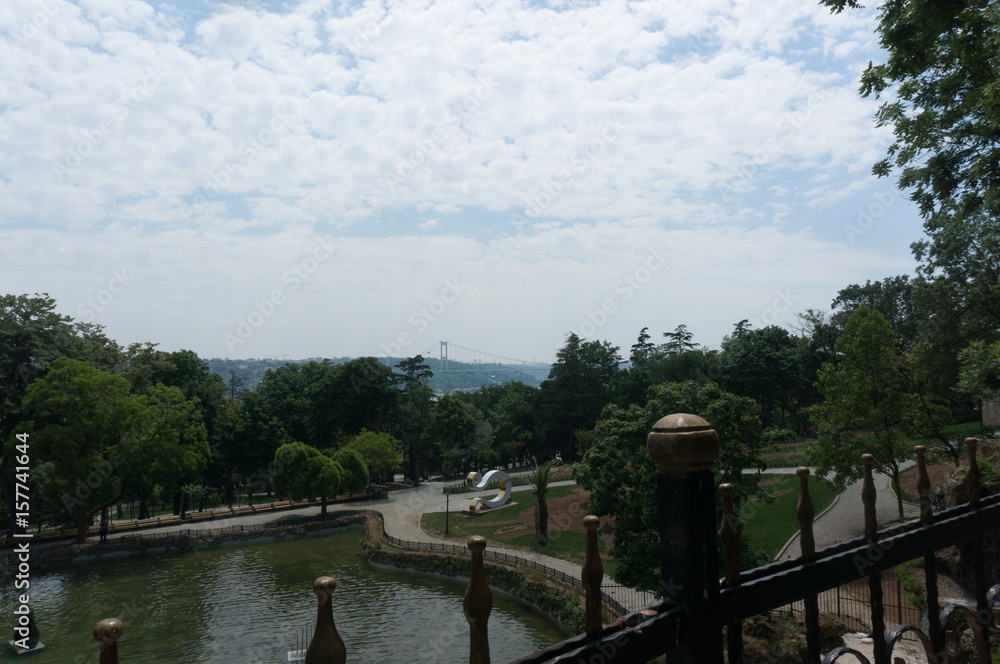 Fototapeta premium Park