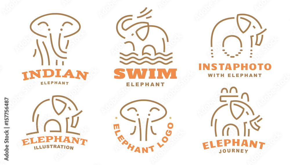 Set elephant logo - vector illustration, emblem design