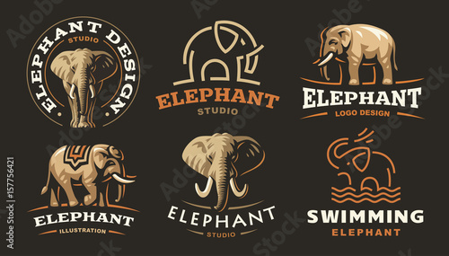 Set elephant logo - vector illustration, emblem design on dark background photo
